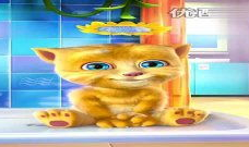 数鸭子视频,趣味互动，寓教于乐的儿童启蒙之旅