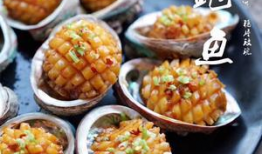 鲍鱼视频,探寻海洋珍馐背后的故事与魅力